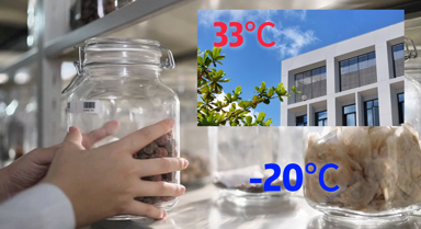 未來，海南這里都是-20℃？